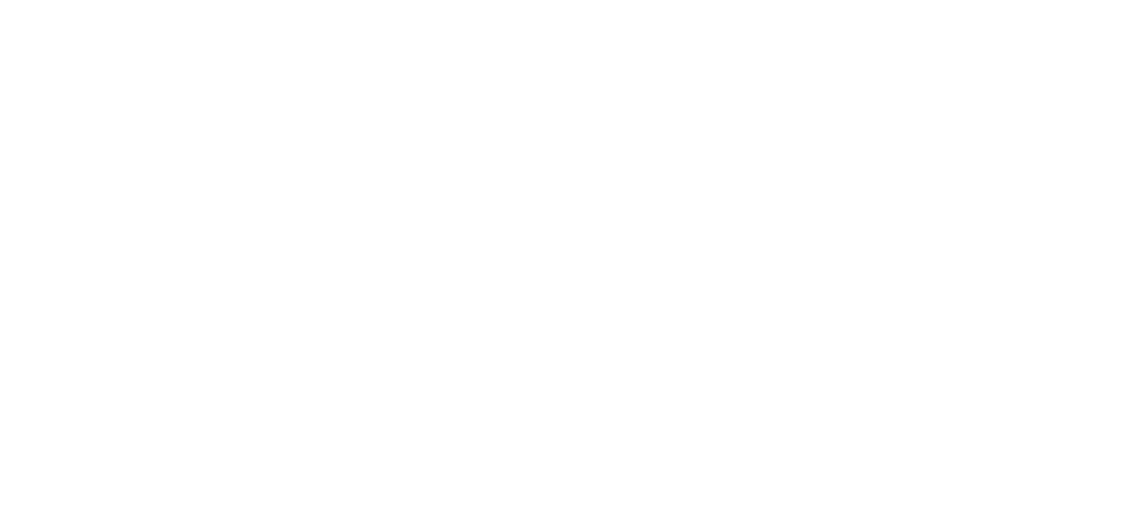 CIO.pro Logo